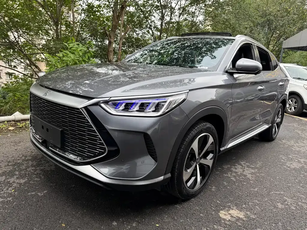 BYD PLUS New Energy 2022 из CN, фото 1