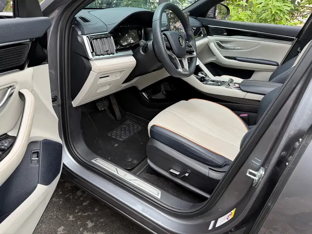 BYD PLUS New Energy 2022 из CN, фото 4