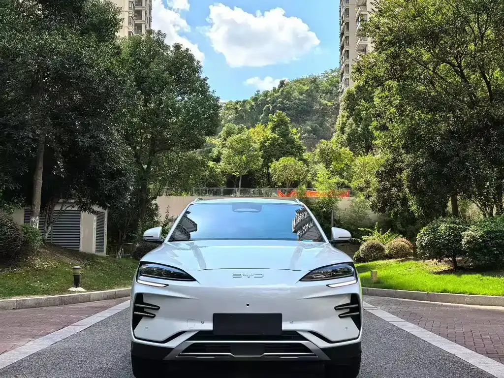 BYD PLUS New Energy 2025 из CN, фото 2