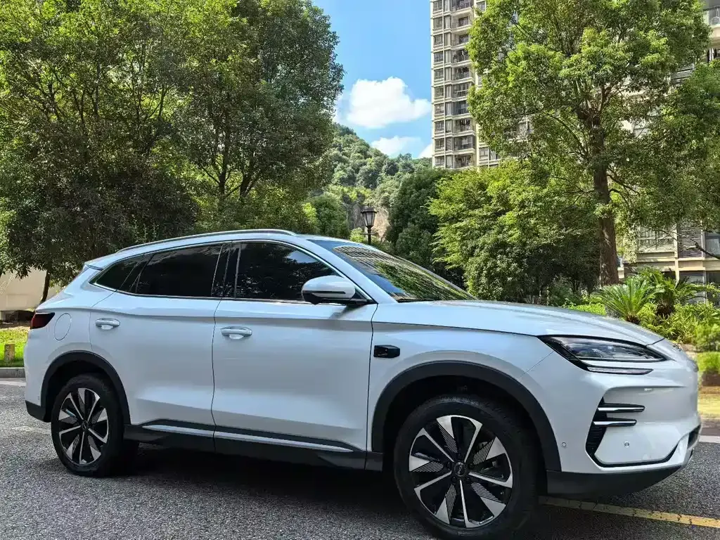 BYD PLUS New Energy 2025 из CN, фото 3
