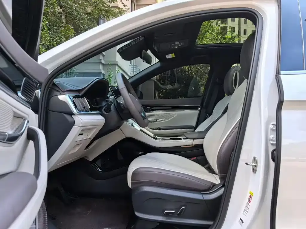 BYD PLUS New Energy 2025 из CN, фото 4