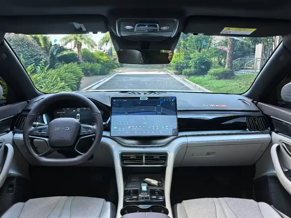 BYD PLUS New Energy 2025 из CN, фото 5