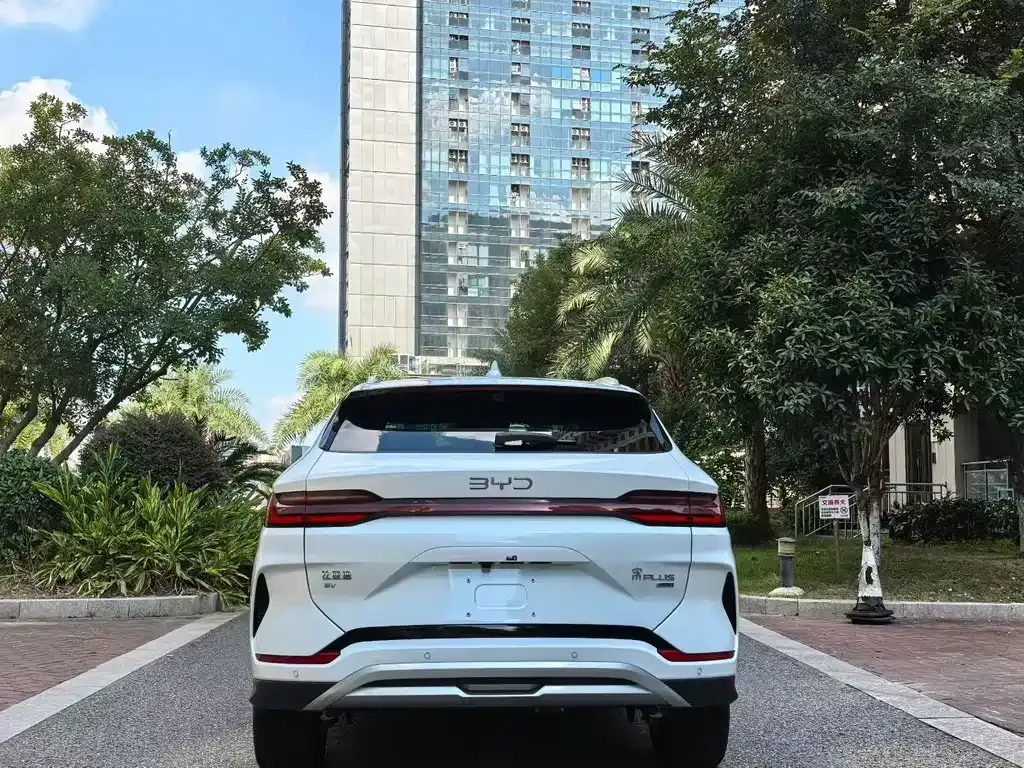 BYD PLUS New Energy 2025 из CN, фото 8