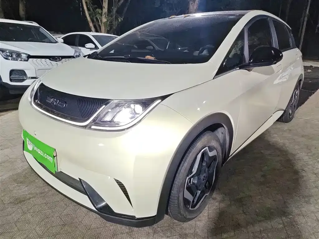 BYD Dolphin 2023 из CN, фото 2