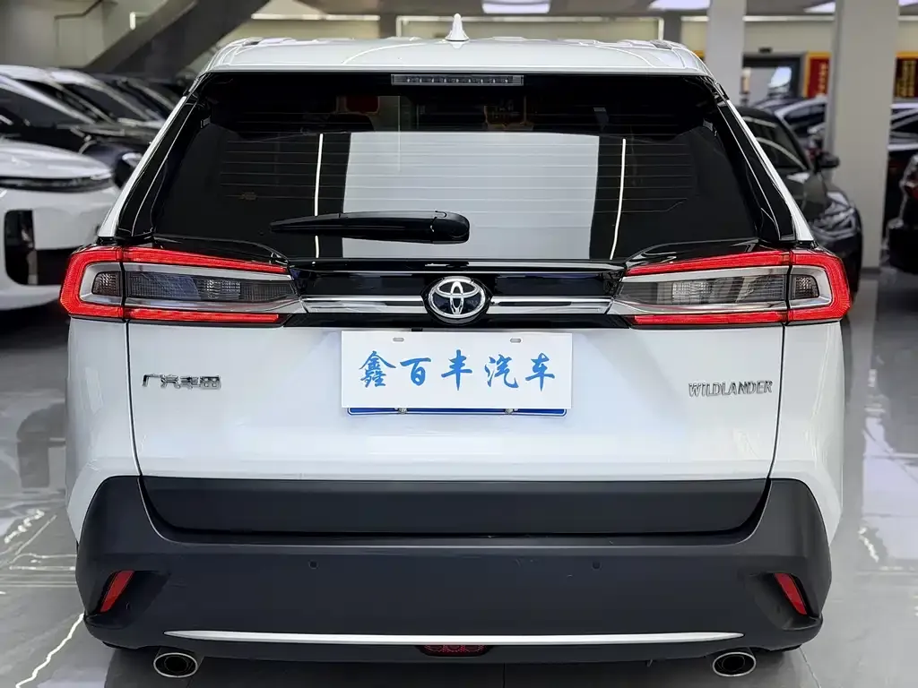 Toyota Wildlander 2022 из CN, фото 9