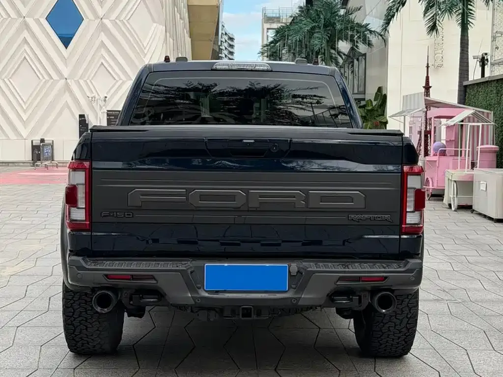 Ford F-150 Raptor 2023 из CN, фото 4