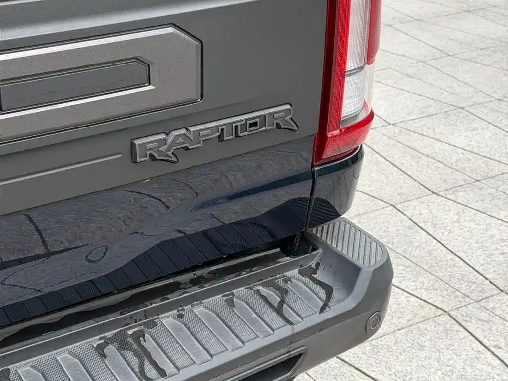 Ford F-150 Raptor 2023 из CN, фото 6