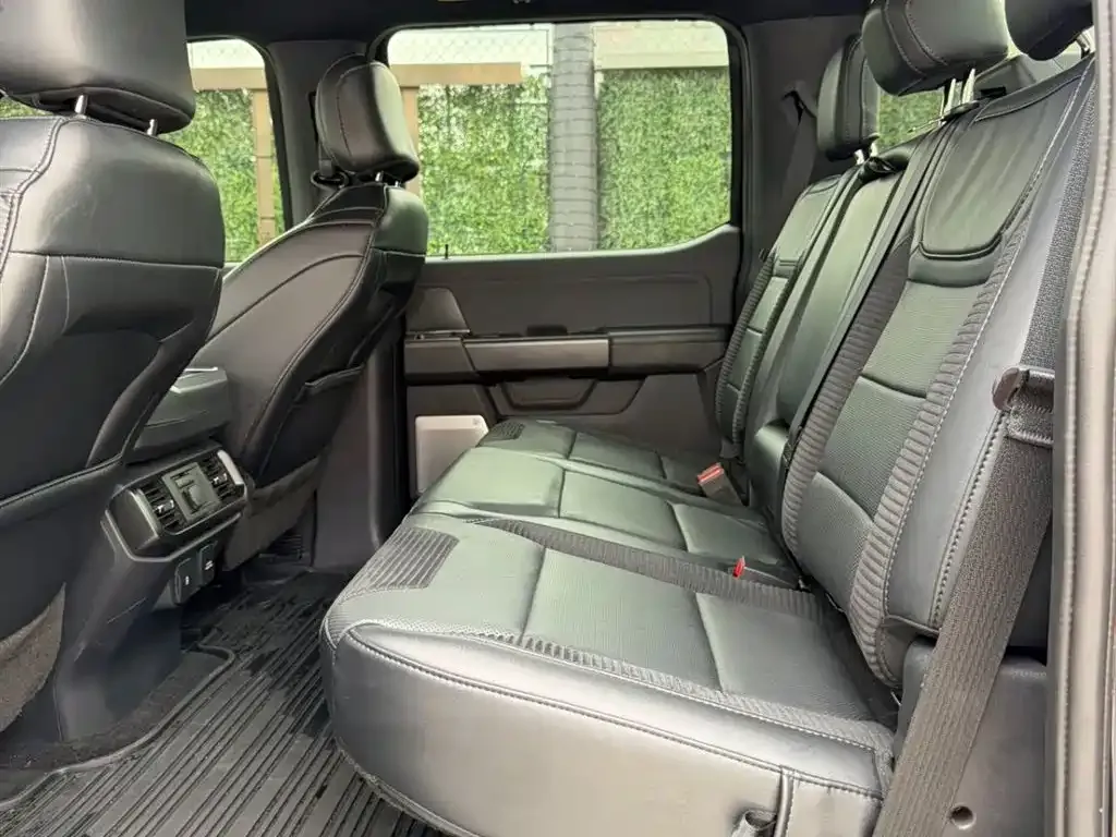 Ford F-150 Raptor 2023 из CN, фото 9