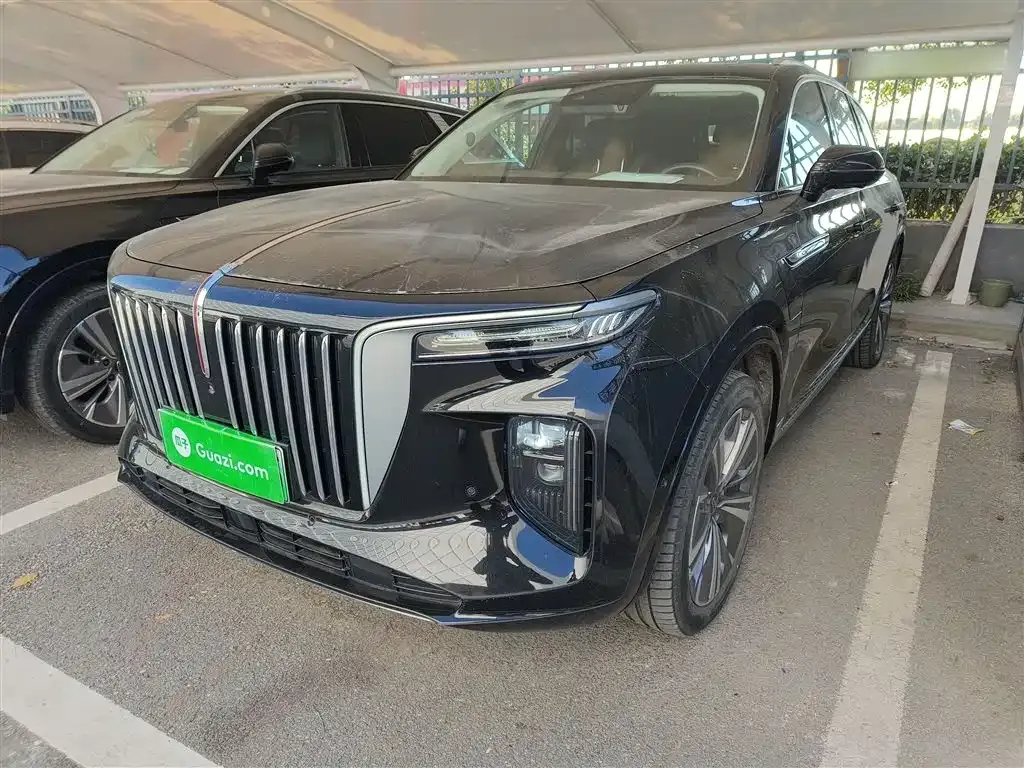 Hongqi E-HS9 2023 из CN, фото 1
