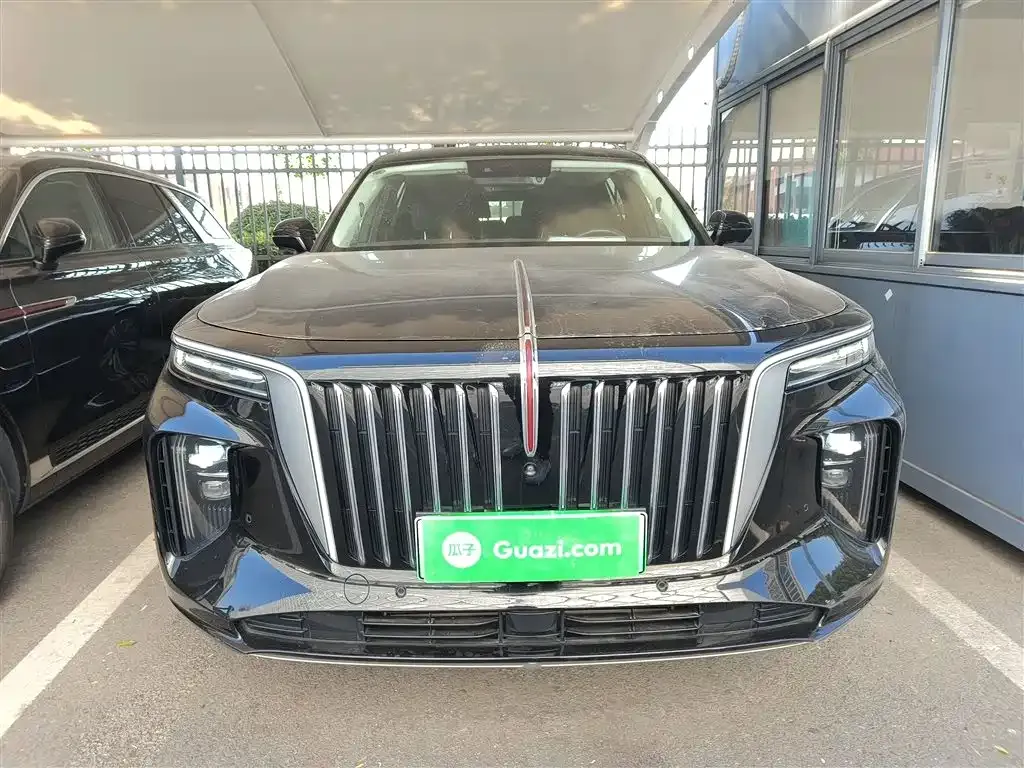 Hongqi E-HS9 2023 из CN, фото 3