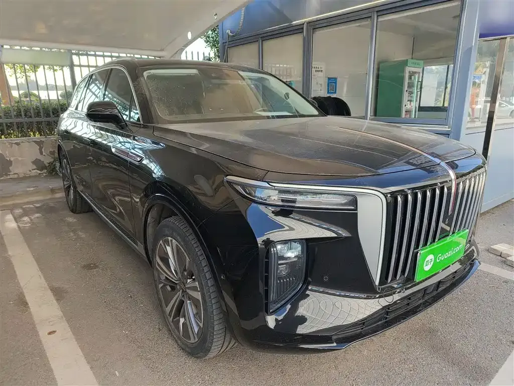Hongqi E-HS9 2023 из CN, фото 4