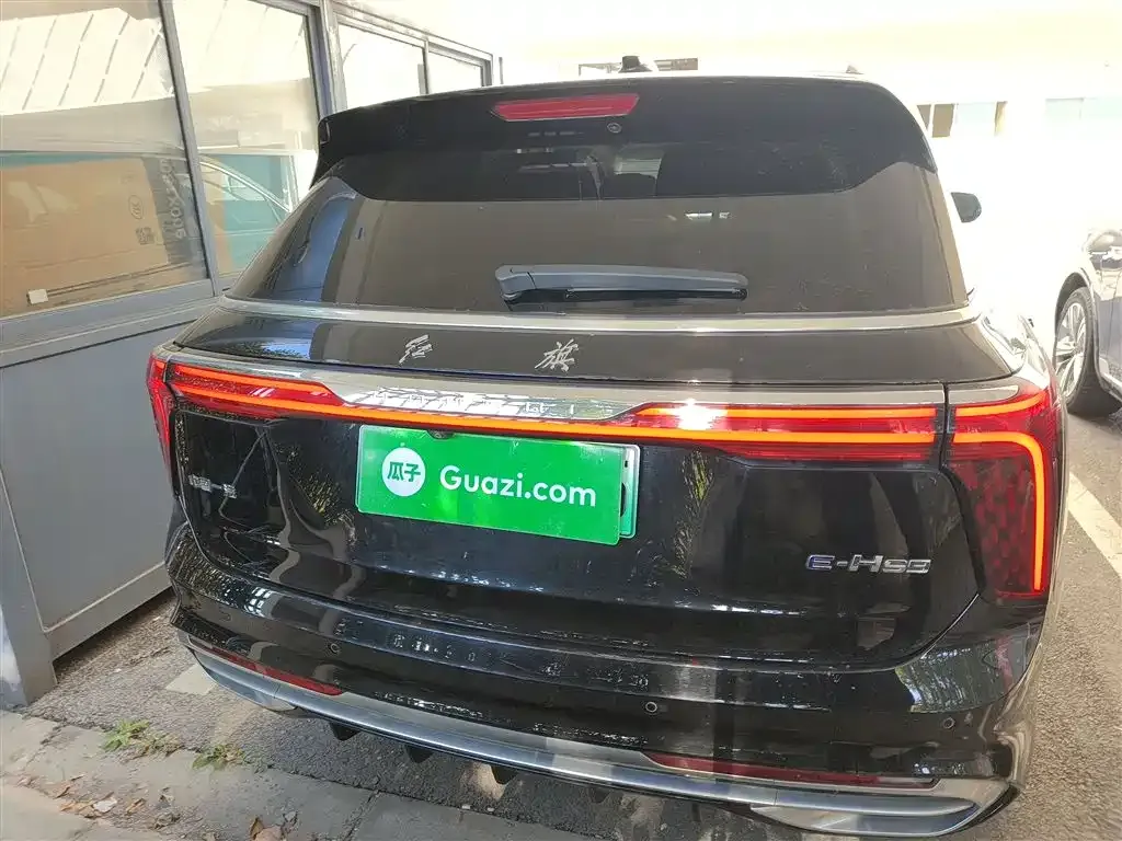 Hongqi E-HS9 2023 из CN, фото 6