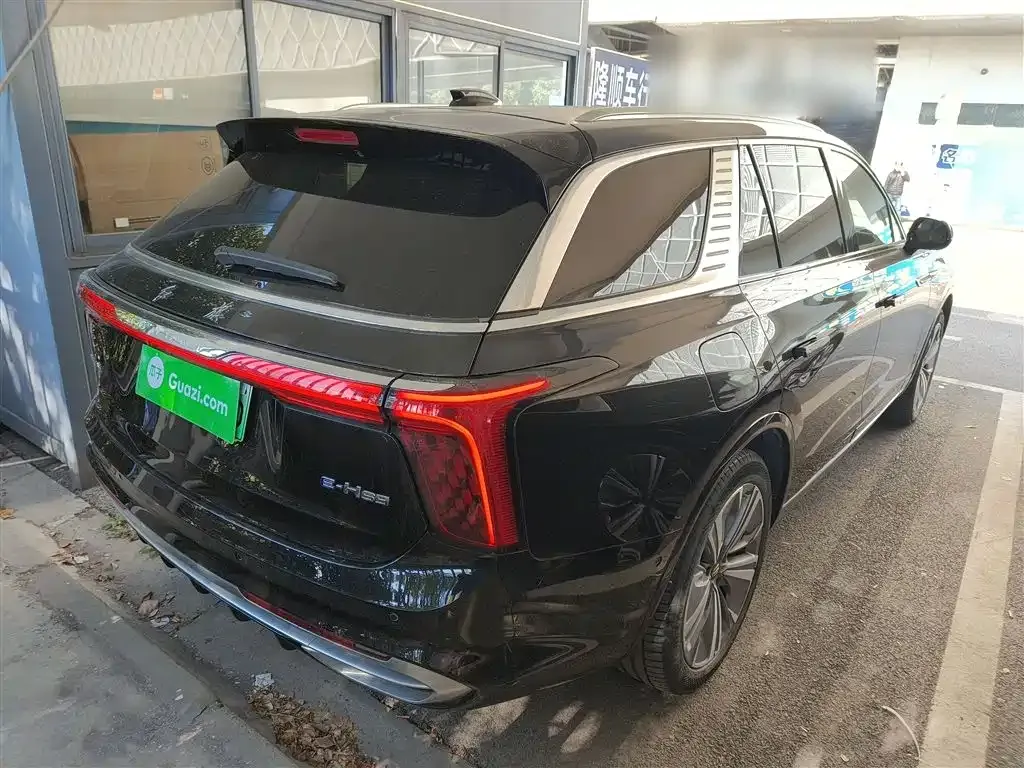 Hongqi E-HS9 2023 из CN, фото 7