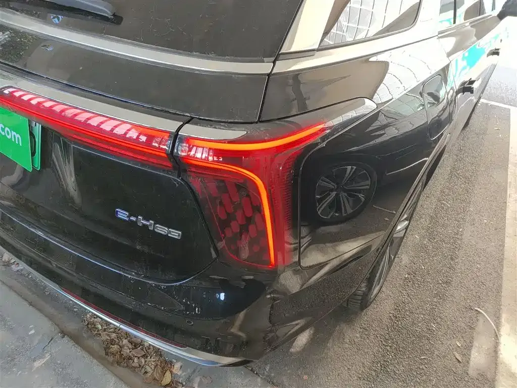 Hongqi E-HS9 2023 из CN, фото 8