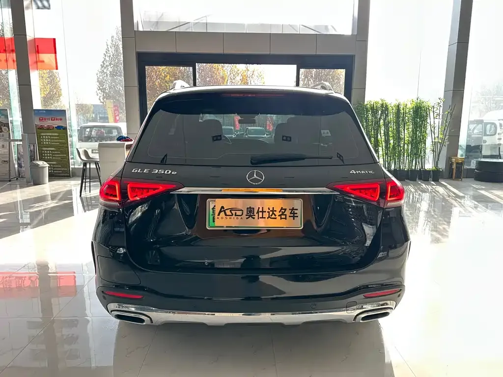 Mercedes-Benz GLE New Energy 2022 из CN, фото 6