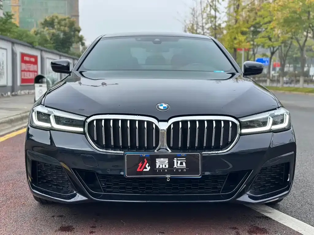BMW 5 Series 2021 из CN, фото 2