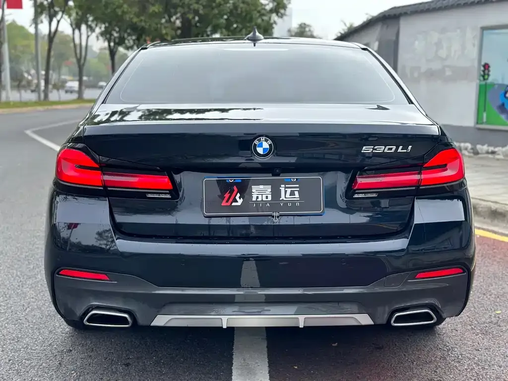 BMW 5 Series 2021 из CN, фото 4
