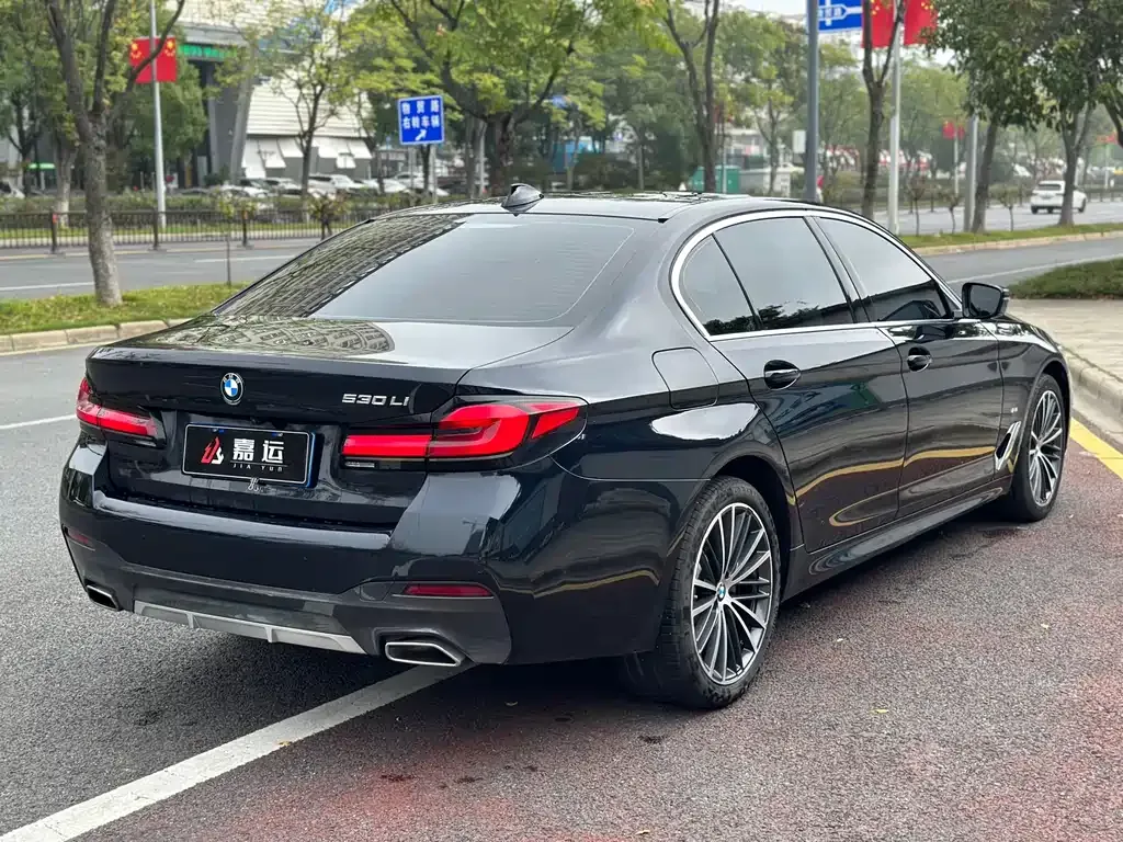 BMW 5 Series 2021 из CN, фото 5