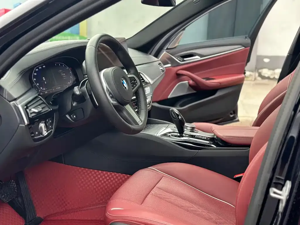 BMW 5 Series 2021 из CN, фото 6