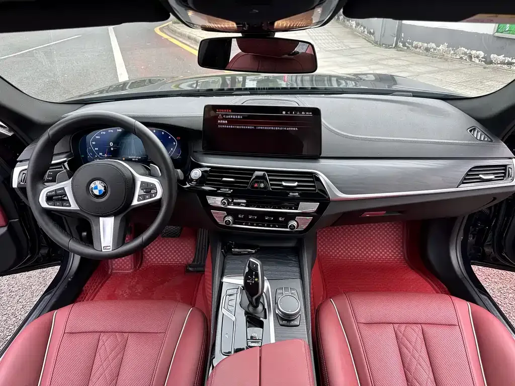 BMW 5 Series 2021 из CN, фото 9