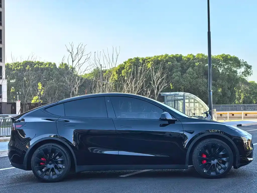 Tesla Model Y 2022 из CN, фото 9