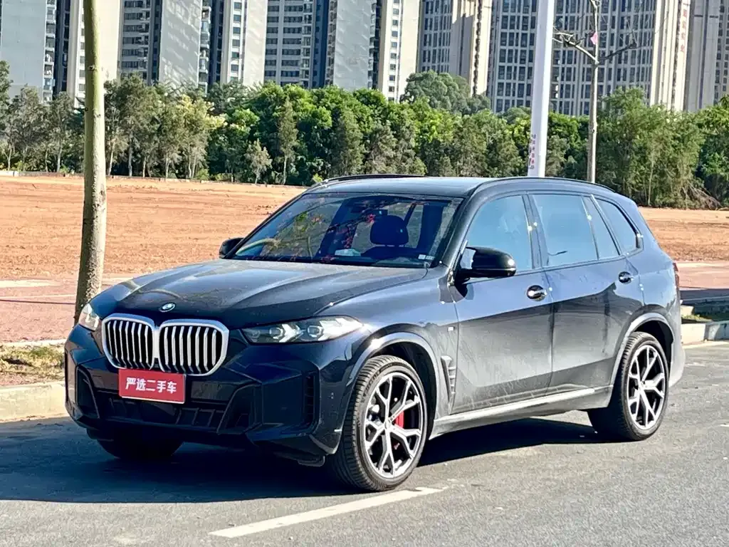 BMW X5 2025 из CN, фото 1