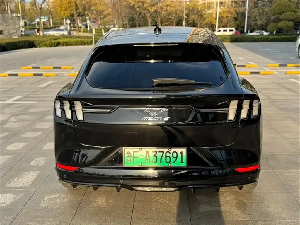 Ford Mustang Mach-E 2023 из CN, фото 5