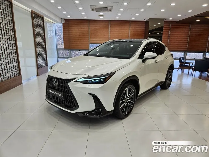 Lexus NX 2025 из KR, фото 1
