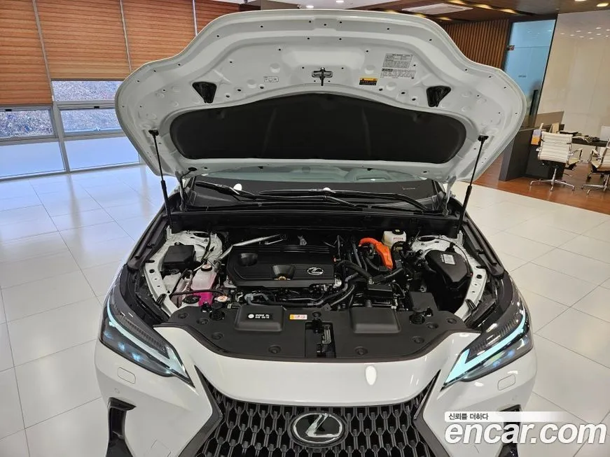 Lexus NX 2025 из KR, фото 4