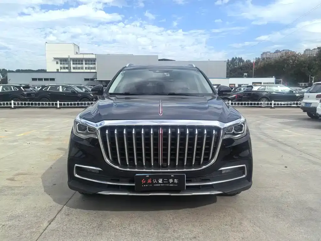 Hongqi HS7 2023 из CN, фото 1