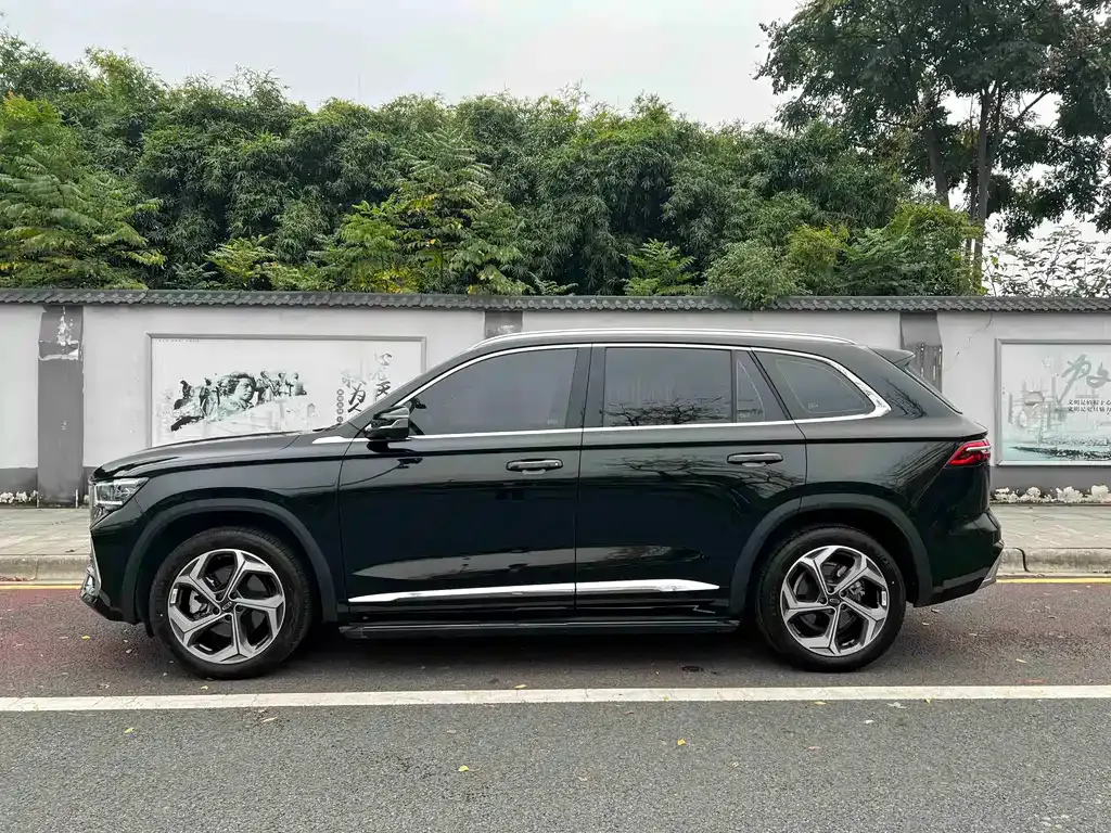 Geely Xingyue L 2024 из CN, фото 6
