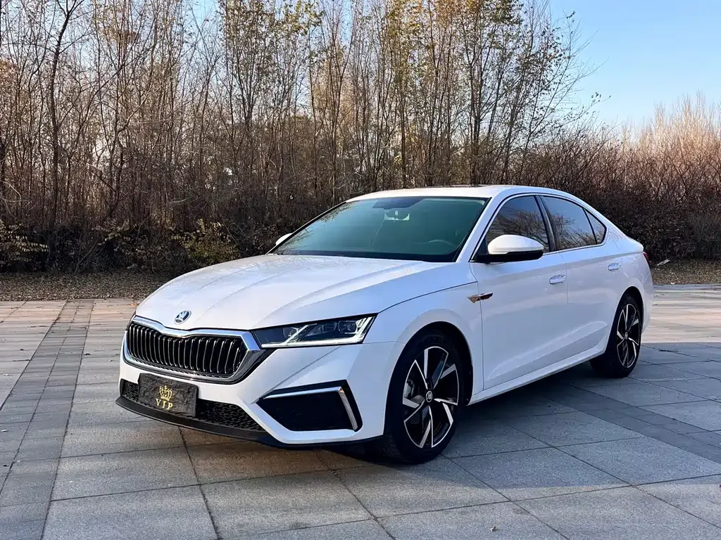 Skoda Octavia 2022 из CN, фото 1