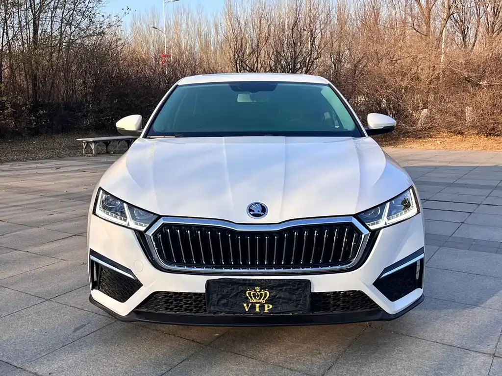 Skoda Octavia 2022 из CN, фото 2