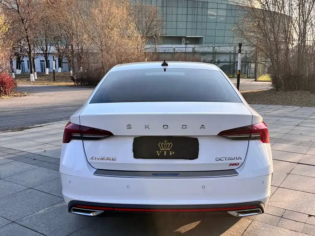 Skoda Octavia 2022 из CN, фото 8
