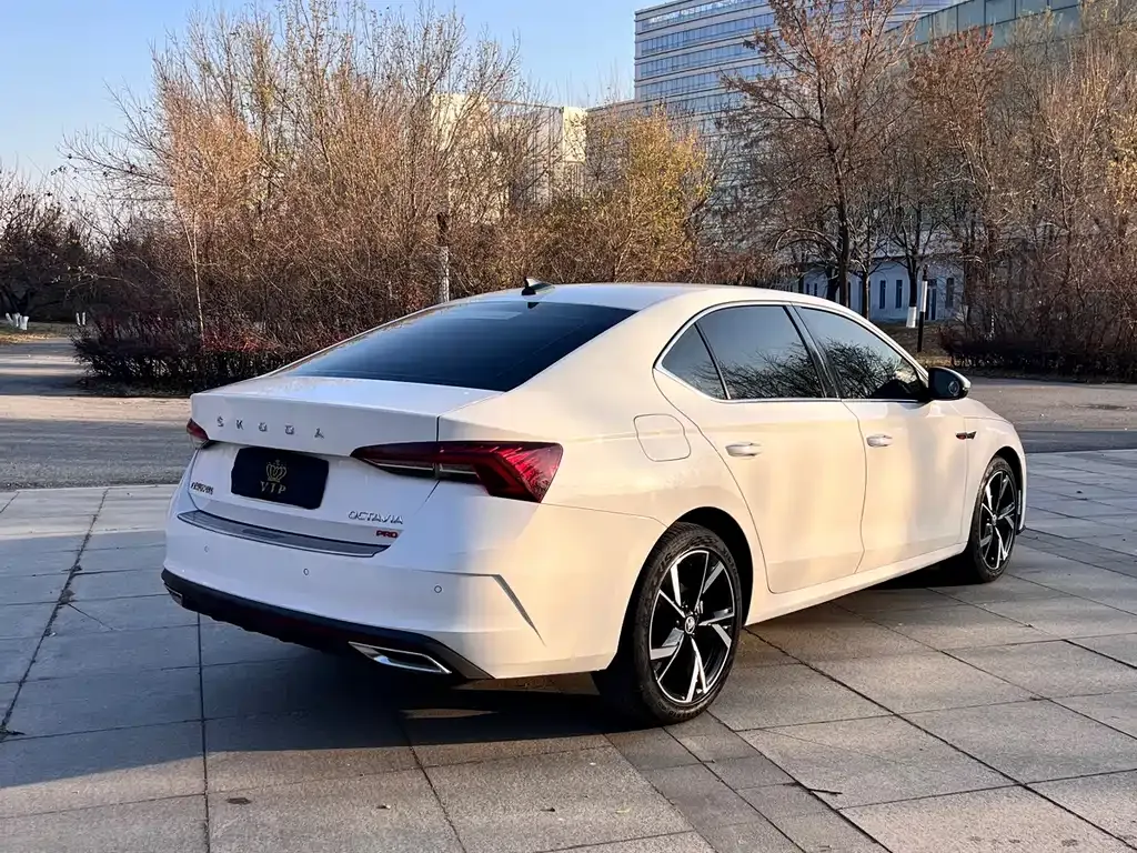Skoda Octavia 2022 из CN, фото 9