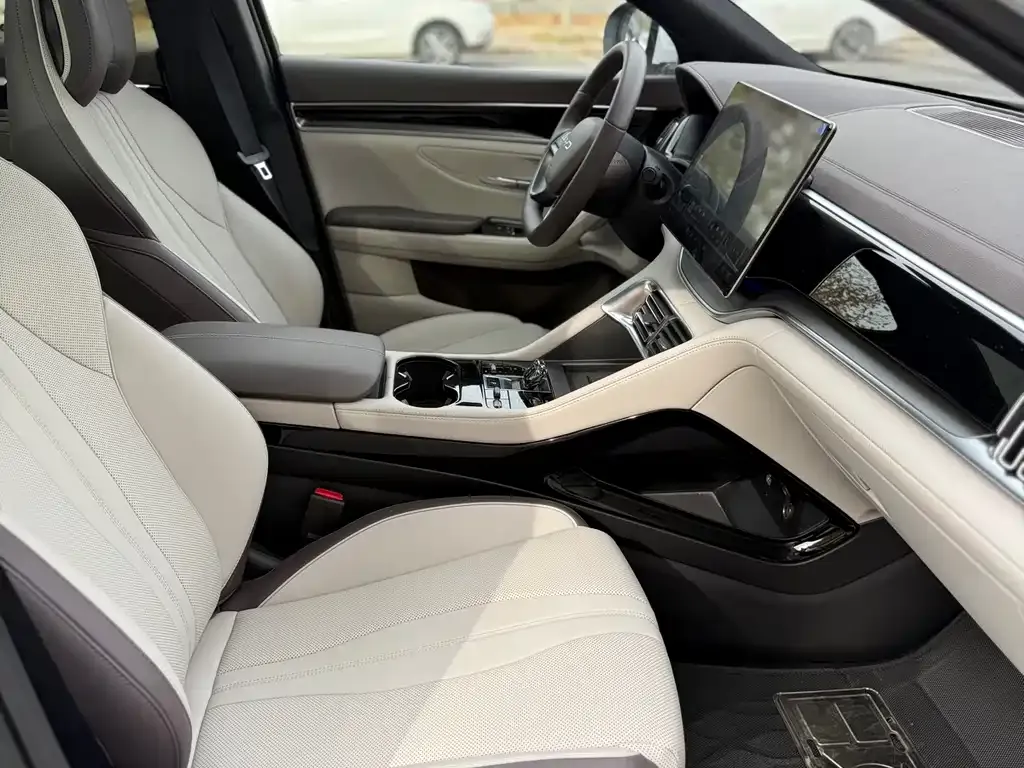 BYD PLUS New Energy 2025 из CN, фото 10