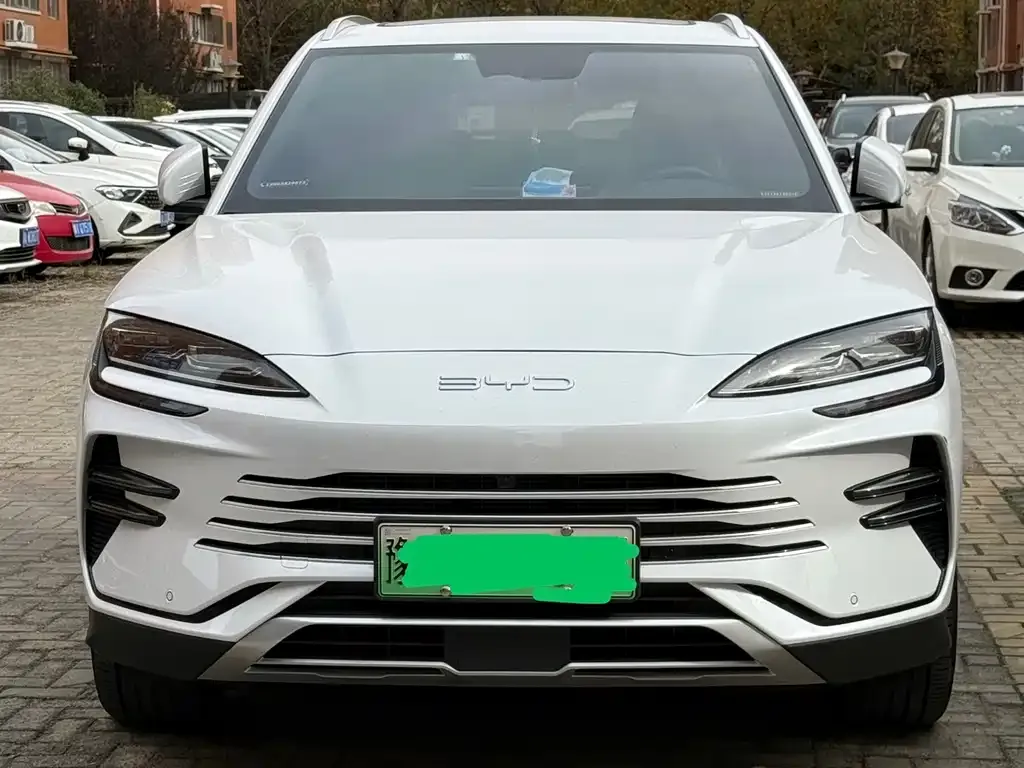 BYD PLUS New Energy 2025 из CN, фото 2