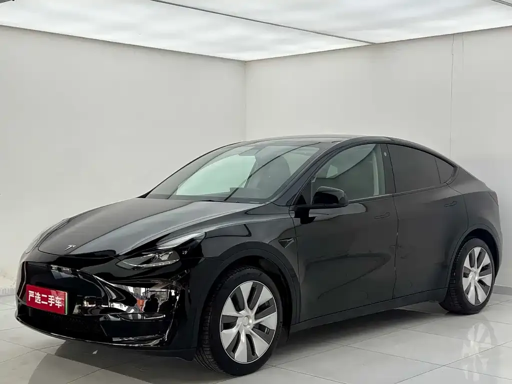 Tesla Model Y 2022 из CN, фото 1