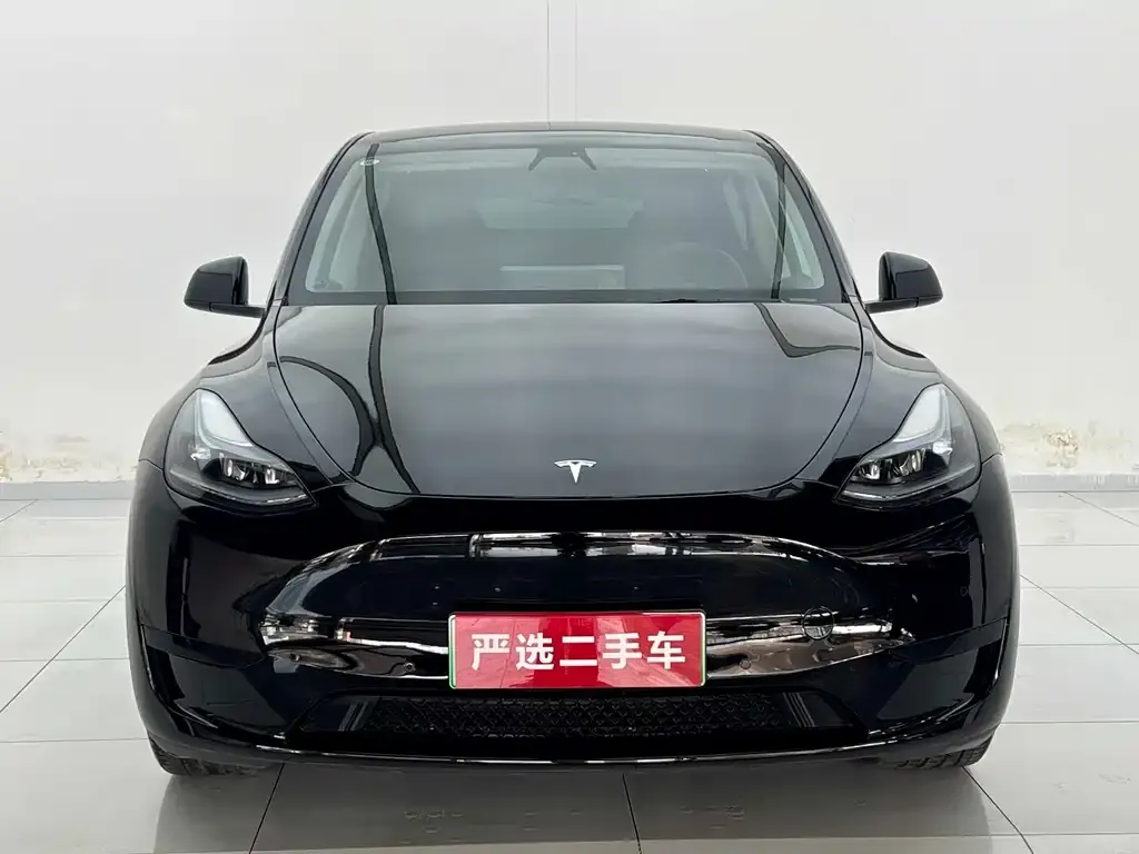 Tesla Model Y 2022 из CN, фото 2