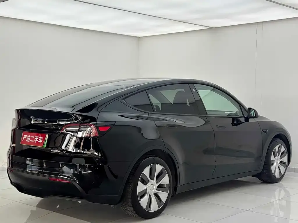 Tesla Model Y 2022 из CN, фото 5