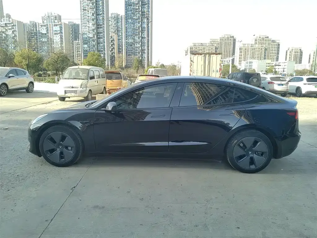Tesla Model 3 2021 из CN, фото 5