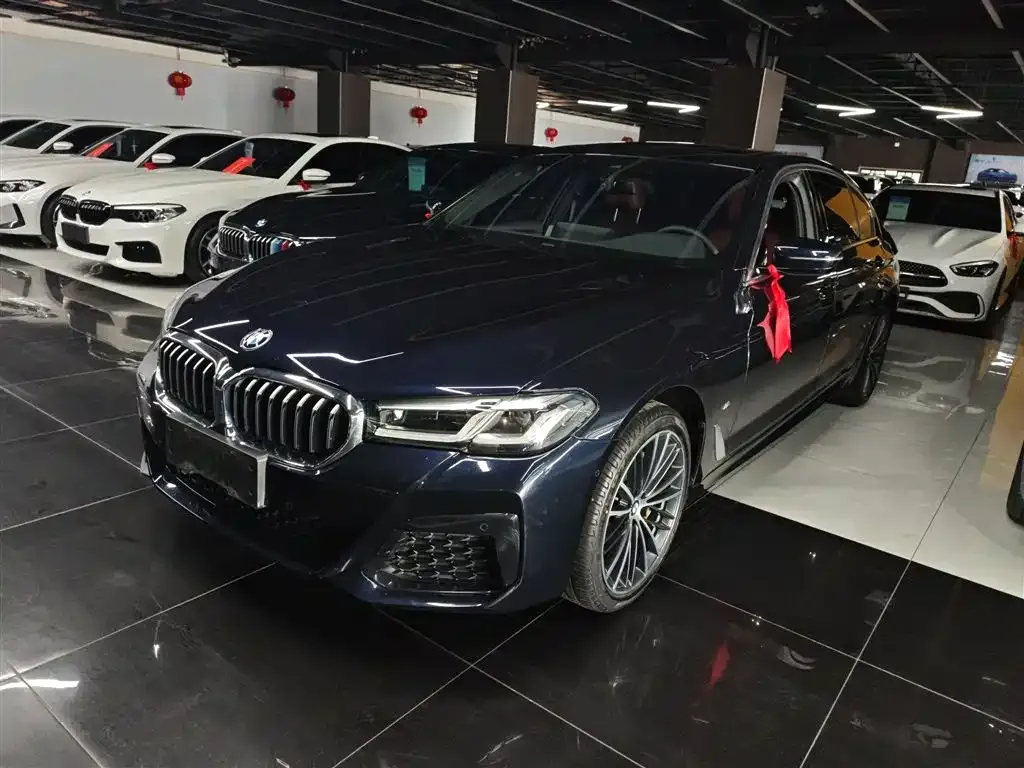 BMW 5 Series 2022 из CN, фото 2