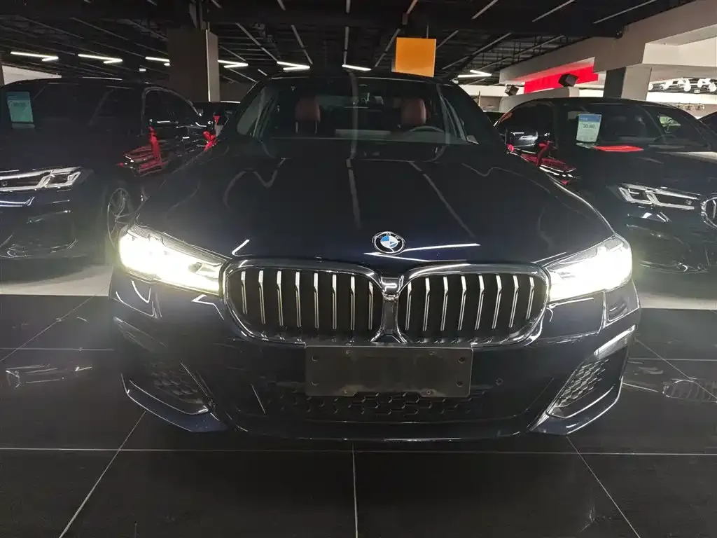 BMW 5 Series 2022 из CN, фото 3