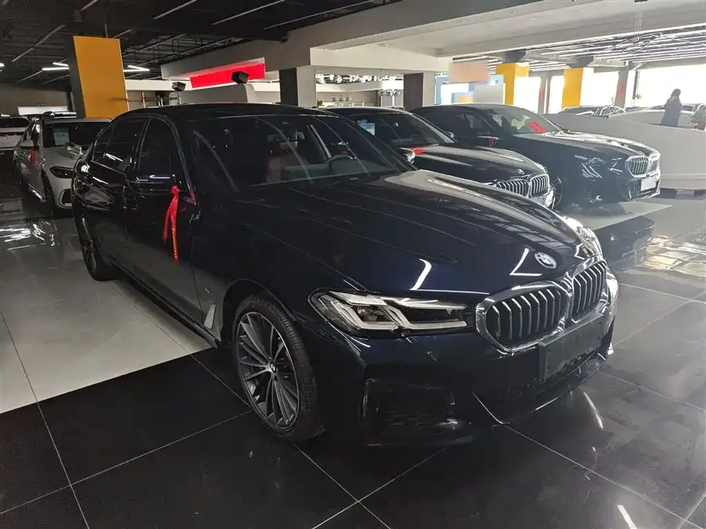 BMW 5 Series 2022 из CN, фото 4