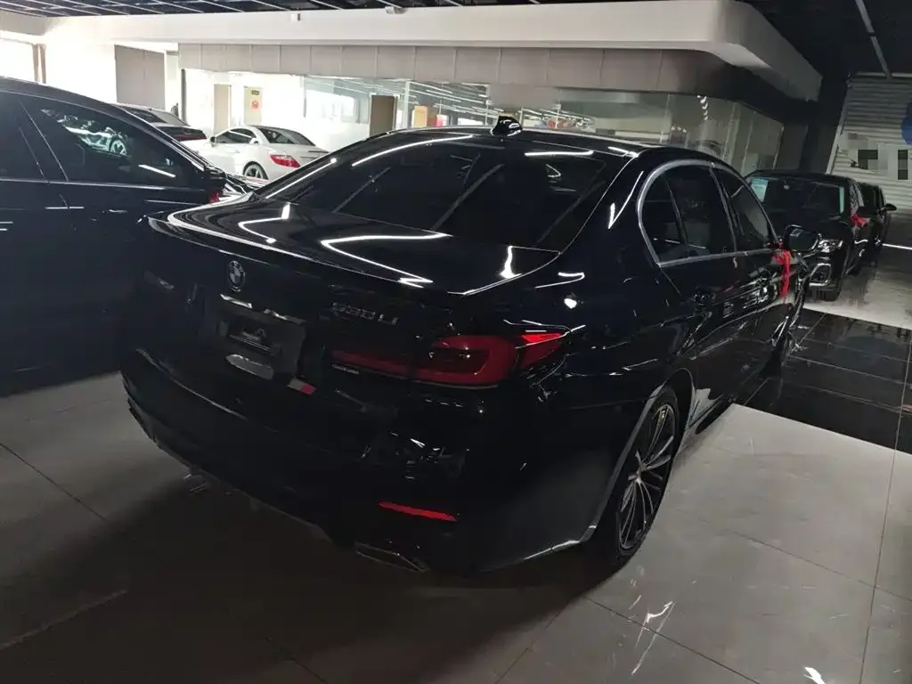 BMW 5 Series 2022 из CN, фото 7