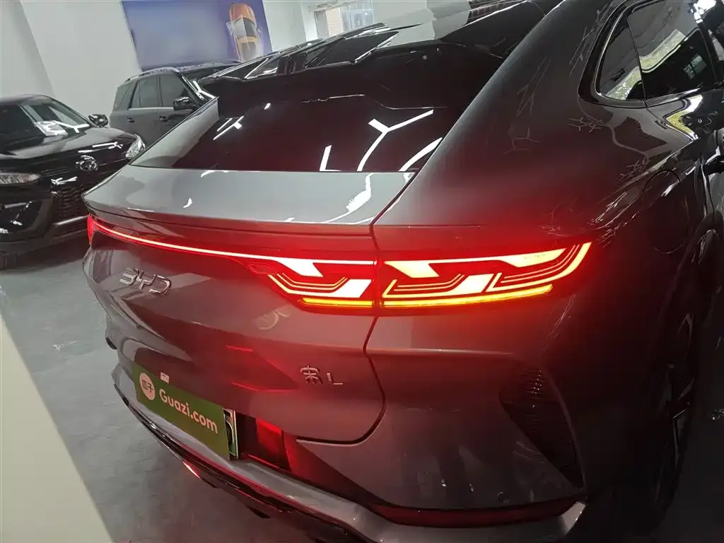 BYD L EV 2024 из CN, фото 6