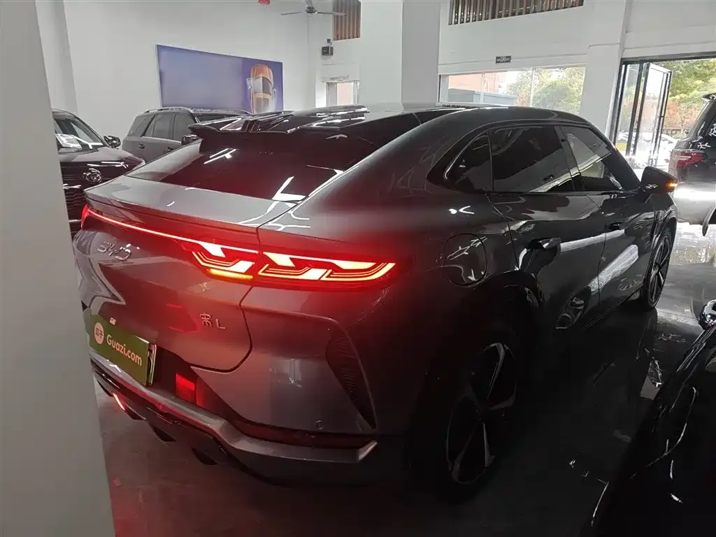 BYD L EV 2024 из CN, фото 7
