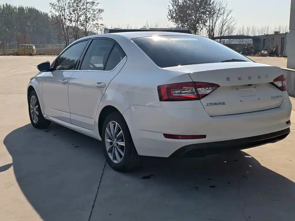 Skoda Octavia 2022 из CN, фото 3