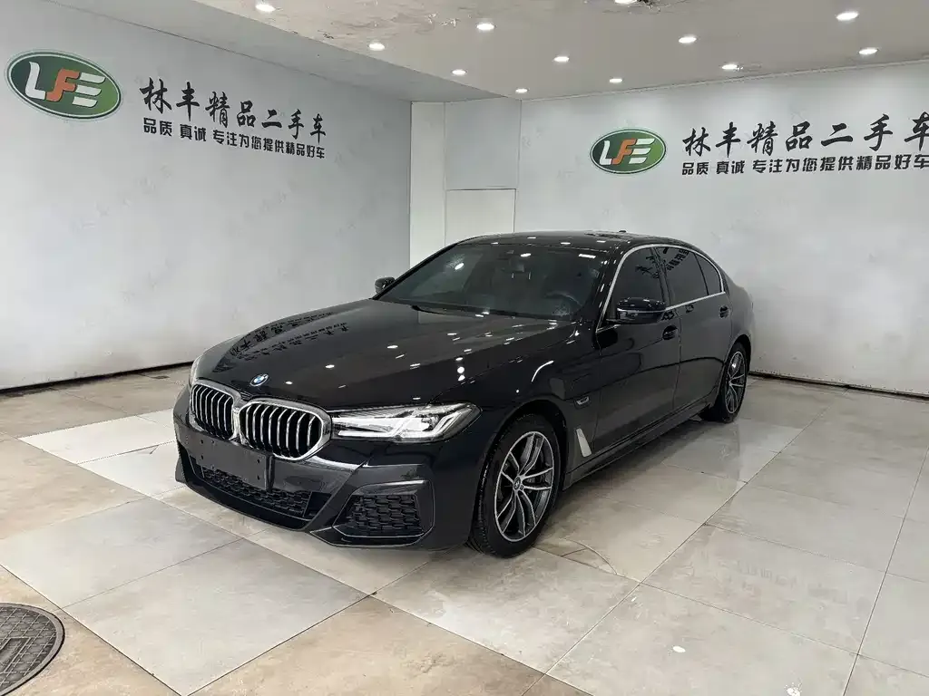 BMW 5 Series New Energy 2023 из CN, фото 1