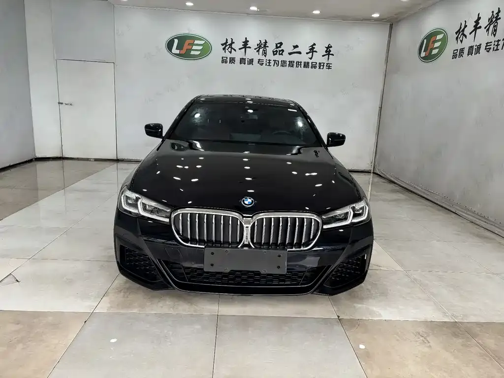 BMW 5 Series New Energy 2023 из CN, фото 3